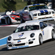 Illustration for article titled 2009 FIA GT Racers Trot Out For Spring Testing In France